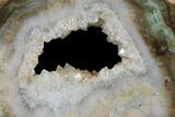 Petrified Wood (Woodworthia) Round With Crystal Pocket - Zimbabwe #167935-1